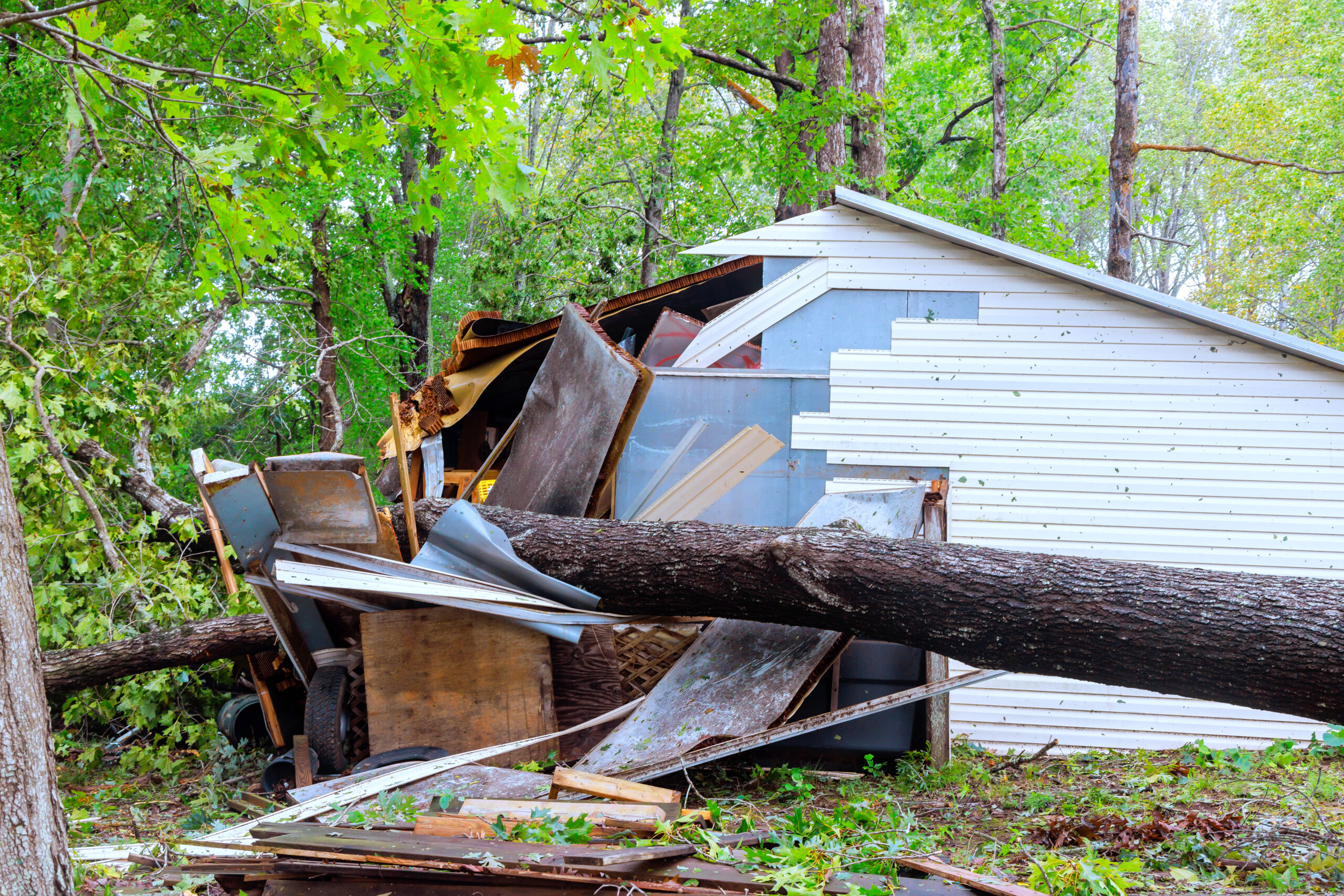 Shed was damaged when trees uprooted by strong winds fell on it during a hurricane