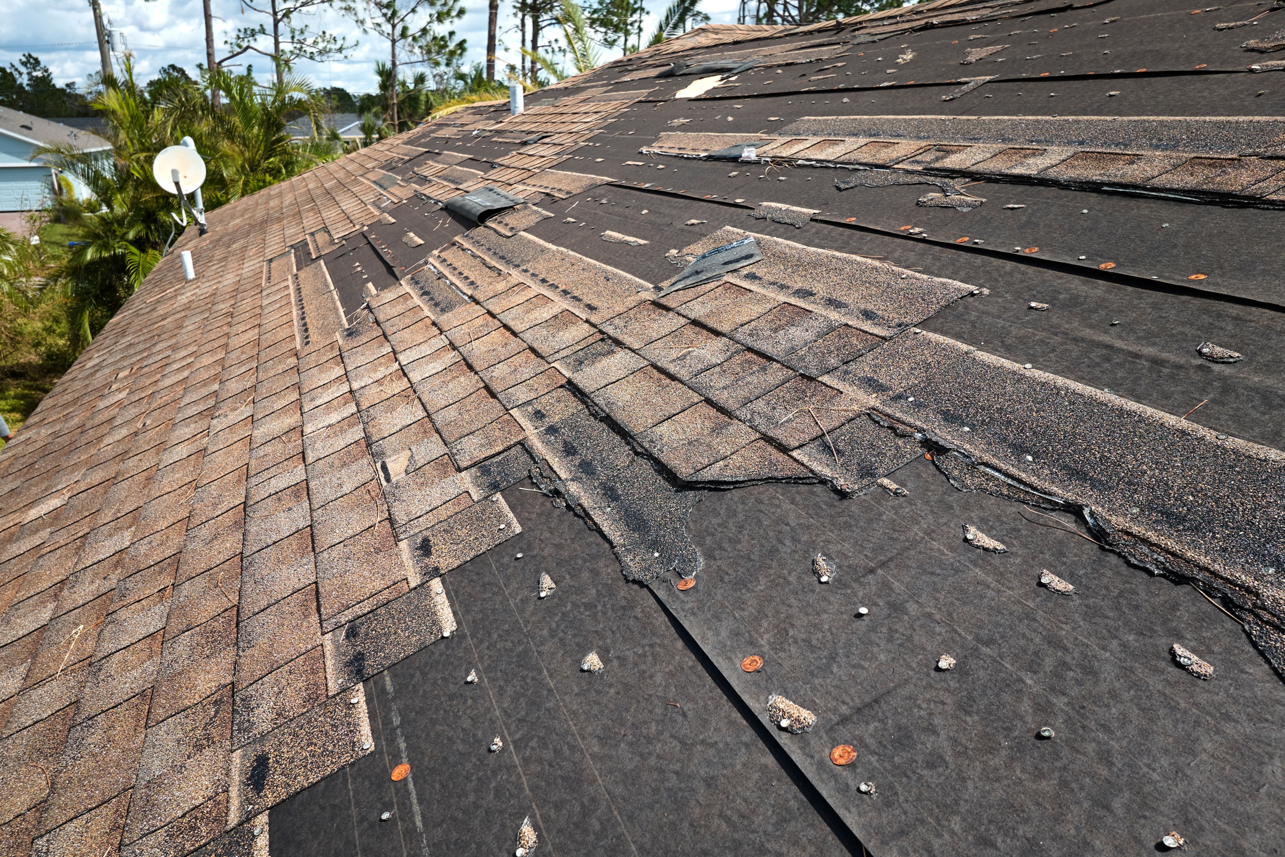 Wind,Damaged,House,Roof,With,Missing,Asphalt,Shingles,After,Hurricane